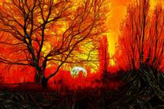 Bild-N°: Photovariety-Sidebar-Images-08