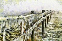 Bild-N°: Photovariety-Sidebar-Images-09