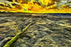 Foto | Bild: Sonnenuntergang am Elbstrand
