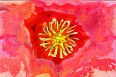 Bild-N°: Photovariety-Sidebar-Images-03