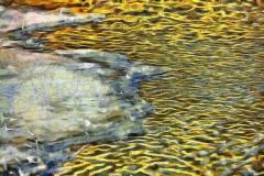 Bild-N°: Photovariety-Sidebar-Images-06