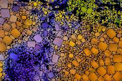 Farbiges Mosaik,  bestehend aus vielen kleinen, unregelmäßig geformten Steinchen.