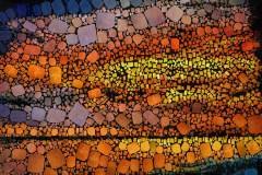 Farbiges Mosaik, bestehend aus vielen kleinen, unregelmäßig geformten Steinchen. Farbiges Mosaik, bestehend aus vielen kleinen, unregelmäßig geformten Steinchen.