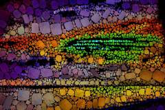 Farbiges Mosaik, bestehend aus vielen kleinen, unregelmäßig geformten Steinchen. Farbiges Mosaik, bestehend aus vielen kleinen, unregelmäßig geformten Steinchen.