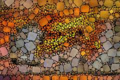 Farbiges Mosaik, bestehend aus vielen kleinen, unregelmäßig geformten Steinchen. Farbiges Mosaik, bestehend aus vielen kleinen, unregelmäßig geformten Steinchen.