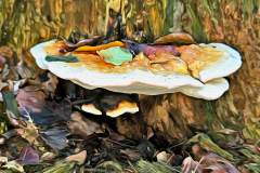 Pilz Fotografie im Photo-To-Art Stil. die kleinen Waldbewohner im Schatten des Unterholzes.