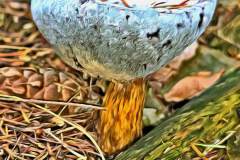 Mushroom photography in a "photo-to-art" style—the little forest dwellers in the shade of the undergrowth. Pilz Fotografie im Photo-To-Art Stil. die kleinen Waldbewohner im Schatten des Unterholzes.