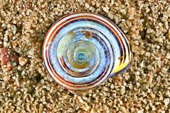 Schneckenhaus im Sand, Photo-to-ART Conchylien Serie.