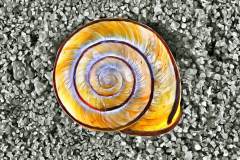 Schneckenhaus im Sand, Photo-to-ART Conchylien Serie.