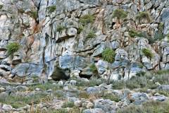 Felsen- und Stein-Textur, im Photo-to-ART Stil.